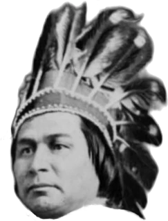The Chief